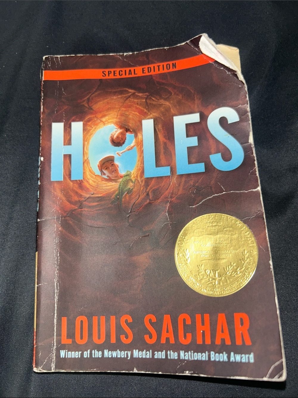 Holes by Louis Sachar - Special Edition